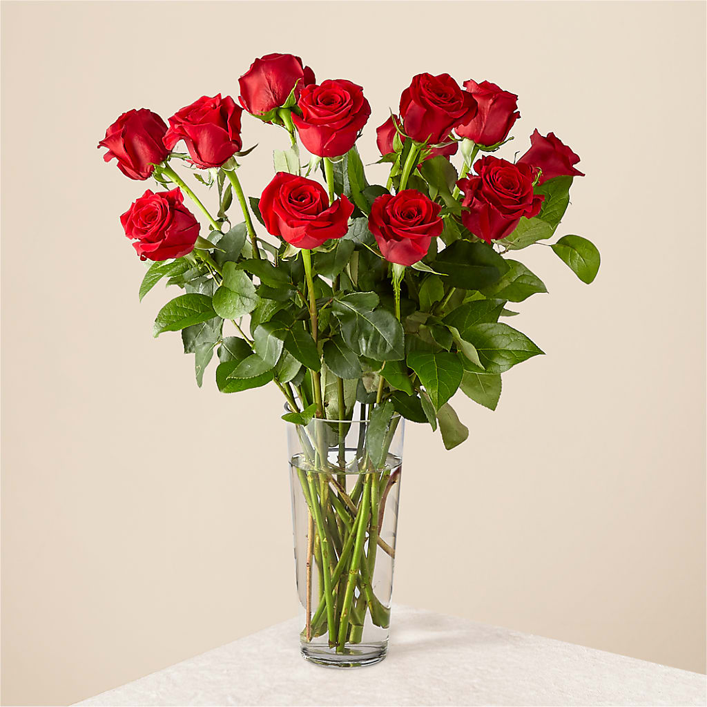 Long Stem Red Rose Bouquet – D'FLOR FLOWERS AND GIFTS SHOP INC, San Juan PR