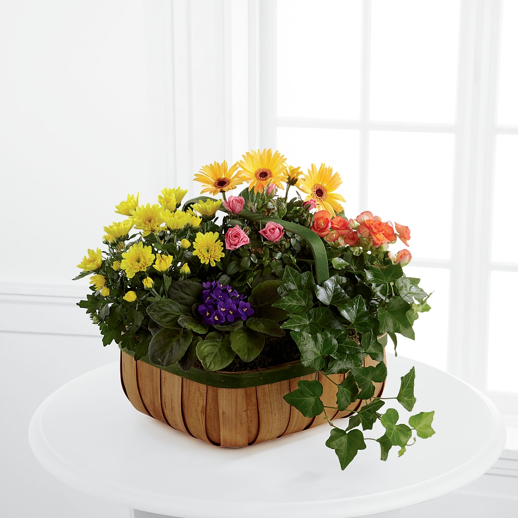 Gentle Blossoms Basket – D'FLOR FLOWERS BOUTIQUE, San Juan PR
