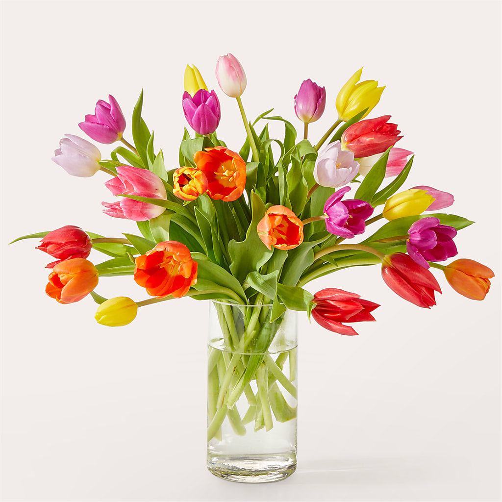 Let's Talk Tulips Bouquet – D'FLOR FLOWERS BOUTIQUE, San Juan PR