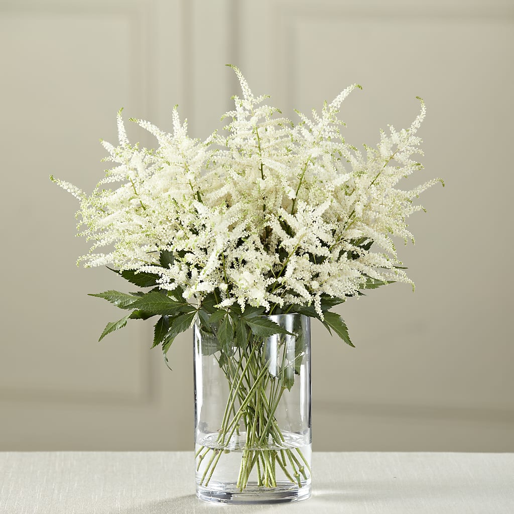 White Astilbe Bouquet – D'FLOR FLOWERS BOUTIQUE, San Juan PR
