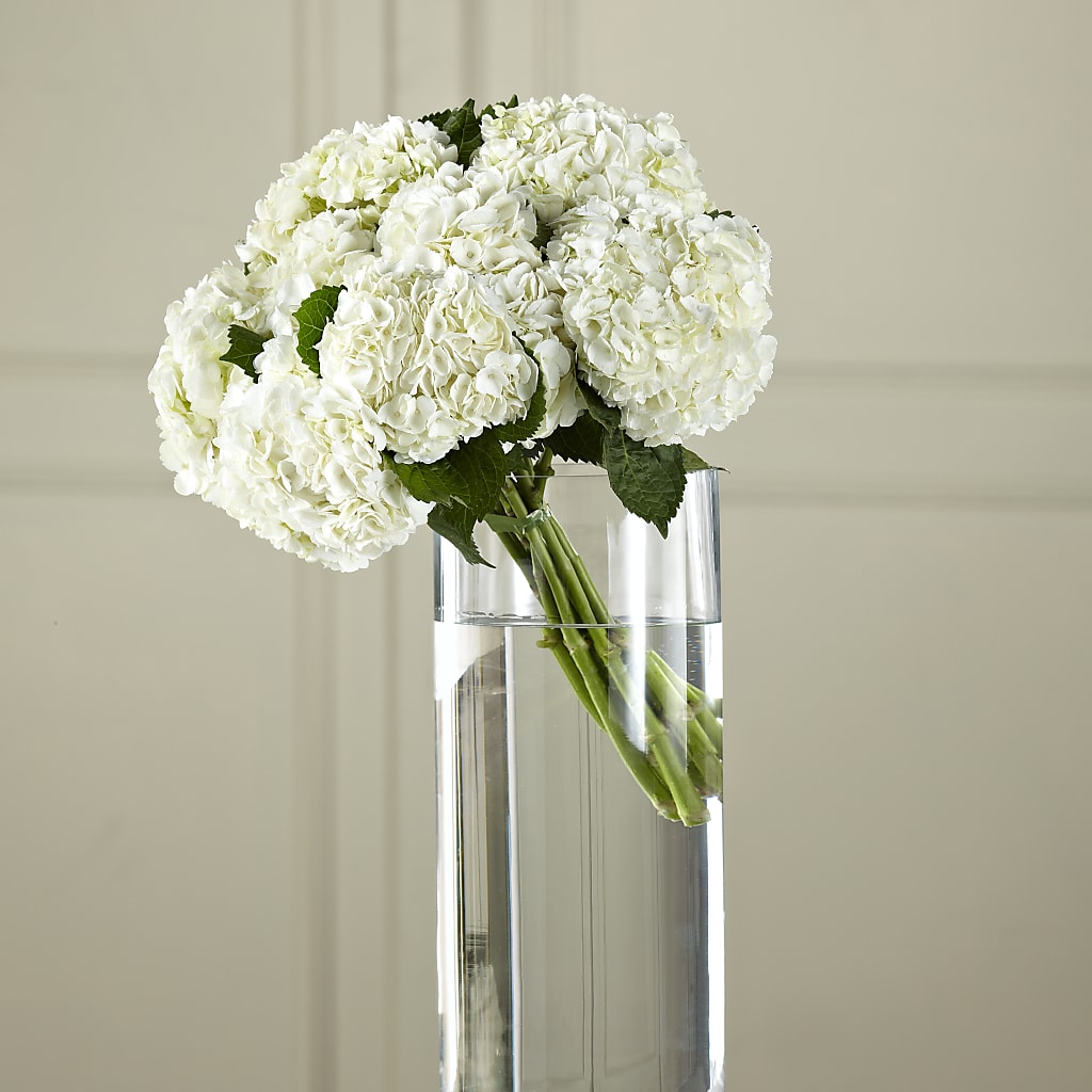 White Hydrangea Hand-Tied Bouquet – D'FLOR FLOWERS BOUTIQUE, San Juan PR