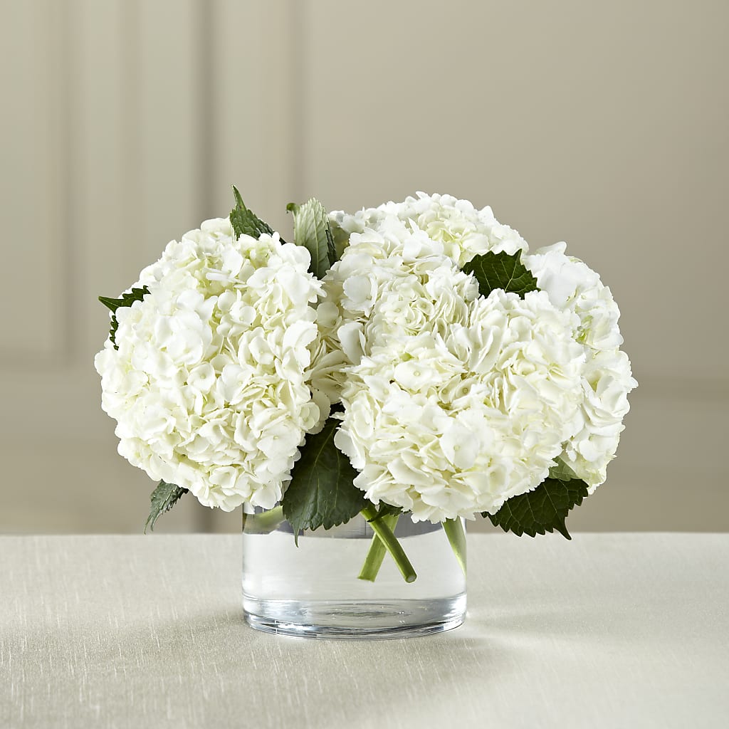 White Hydrangea Bouquet – D'FLOR FLOWERS BOUTIQUE, San Juan PR