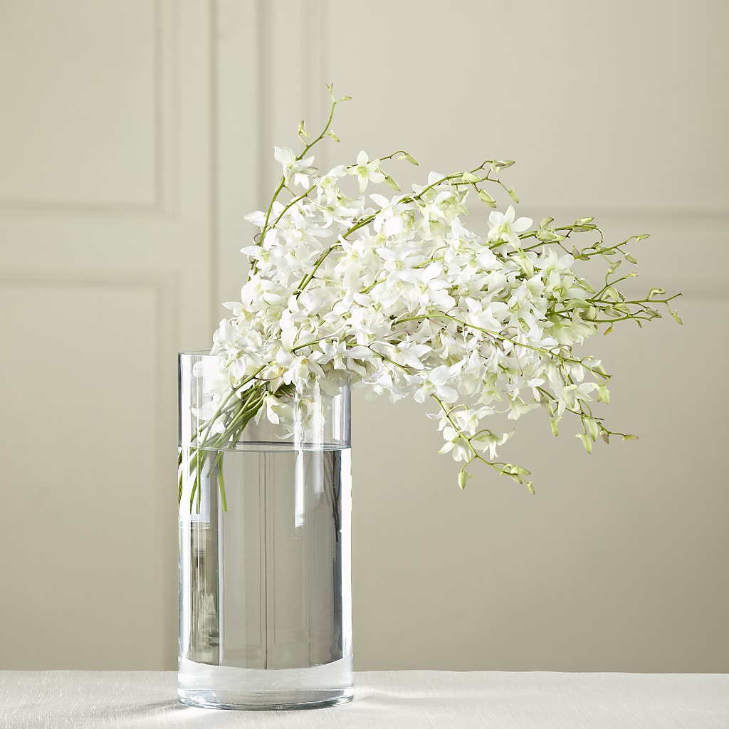 White Dendrobium Bouquet – D'FLOR FLOWERS BOUTIQUE, San Juan PR