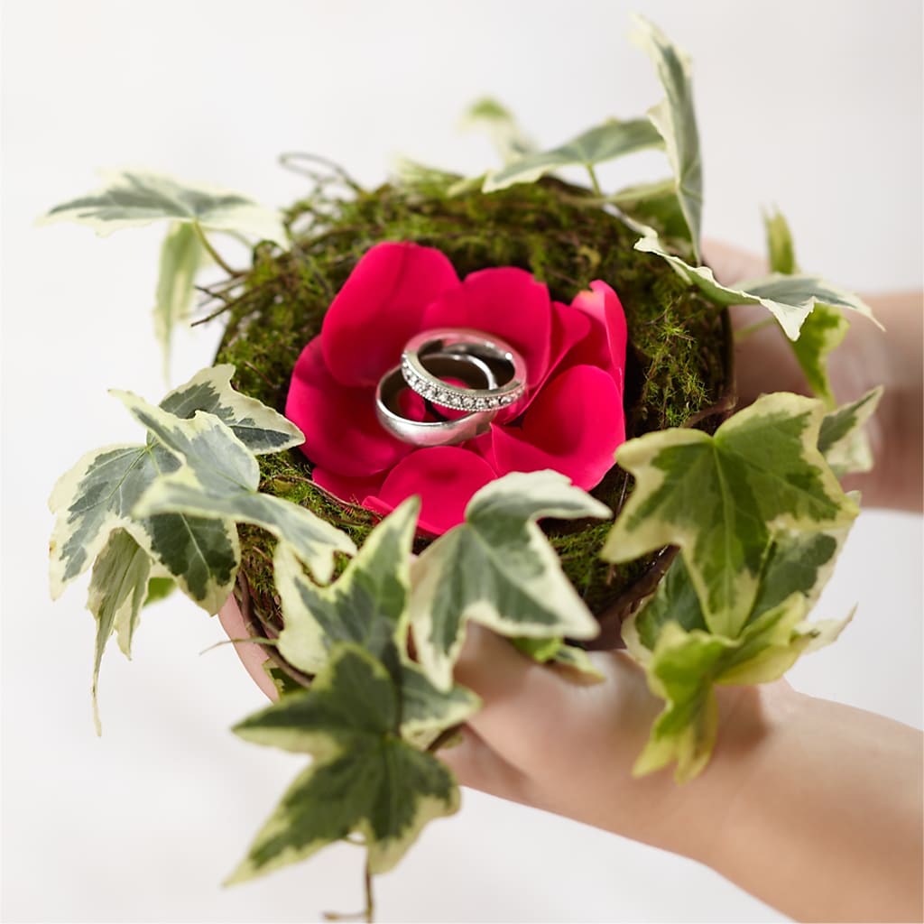 Lila Rose Ring Nest – D'FLOR FLOWERS BOUTIQUE, San Juan PR