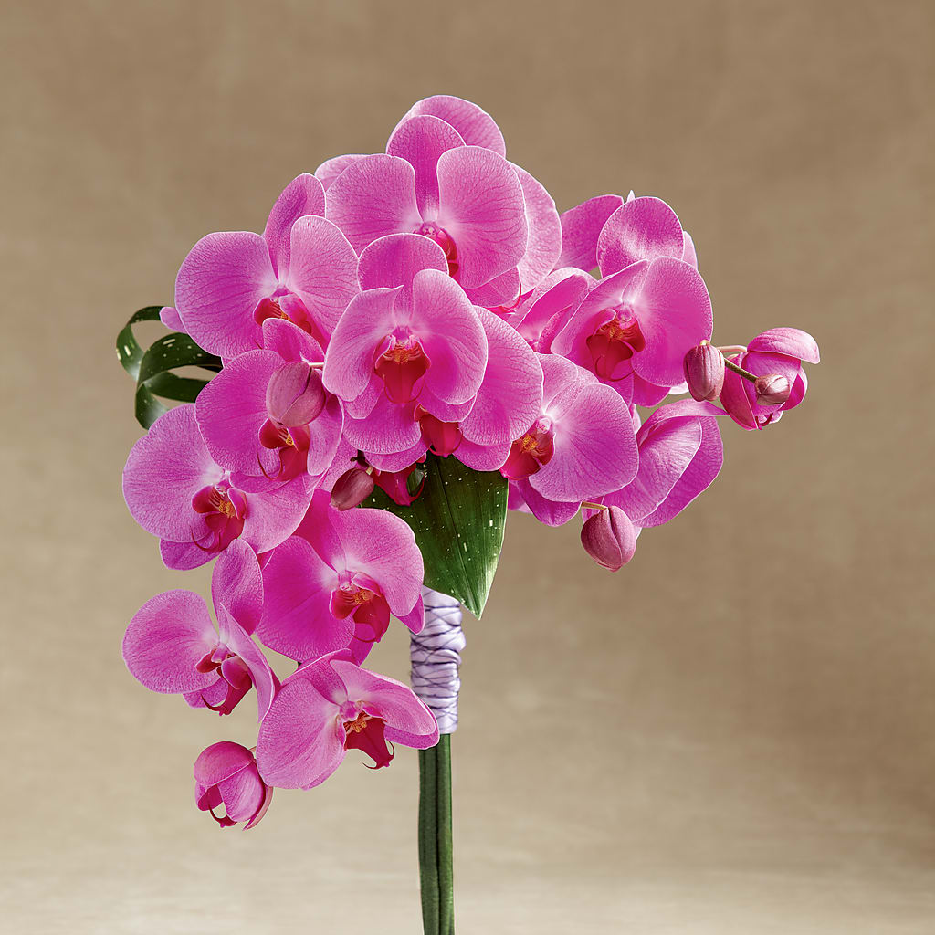 Glorious Bouquet – D'FLOR FLOWERS BOUTIQUE, San Juan PR