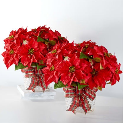 Happiest Holidays Poinsettia Bundle – D'FLOR FLOWERS BOUTIQUE, San Juan PR