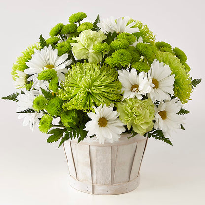 Lucky Charm Basket (Standard) – D'FLOR FLOWERS BOUTIQUE, San Juan PR