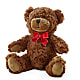 Peluches – D'FLOR FLOWERS BOUTIQUE, San Juan PR