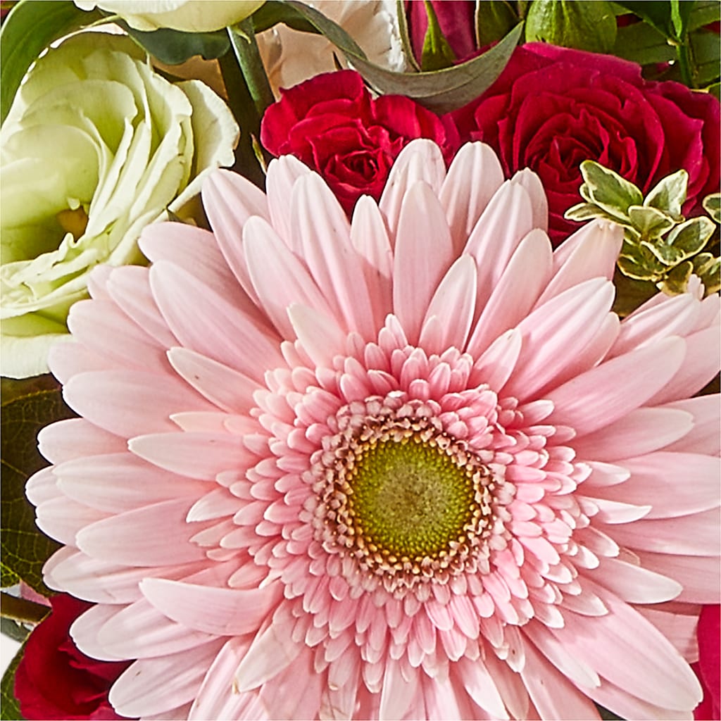 Too Cute Bouquet – D'FLOR FLOWERS AND GIFTS SHOP INC, San Juan PR