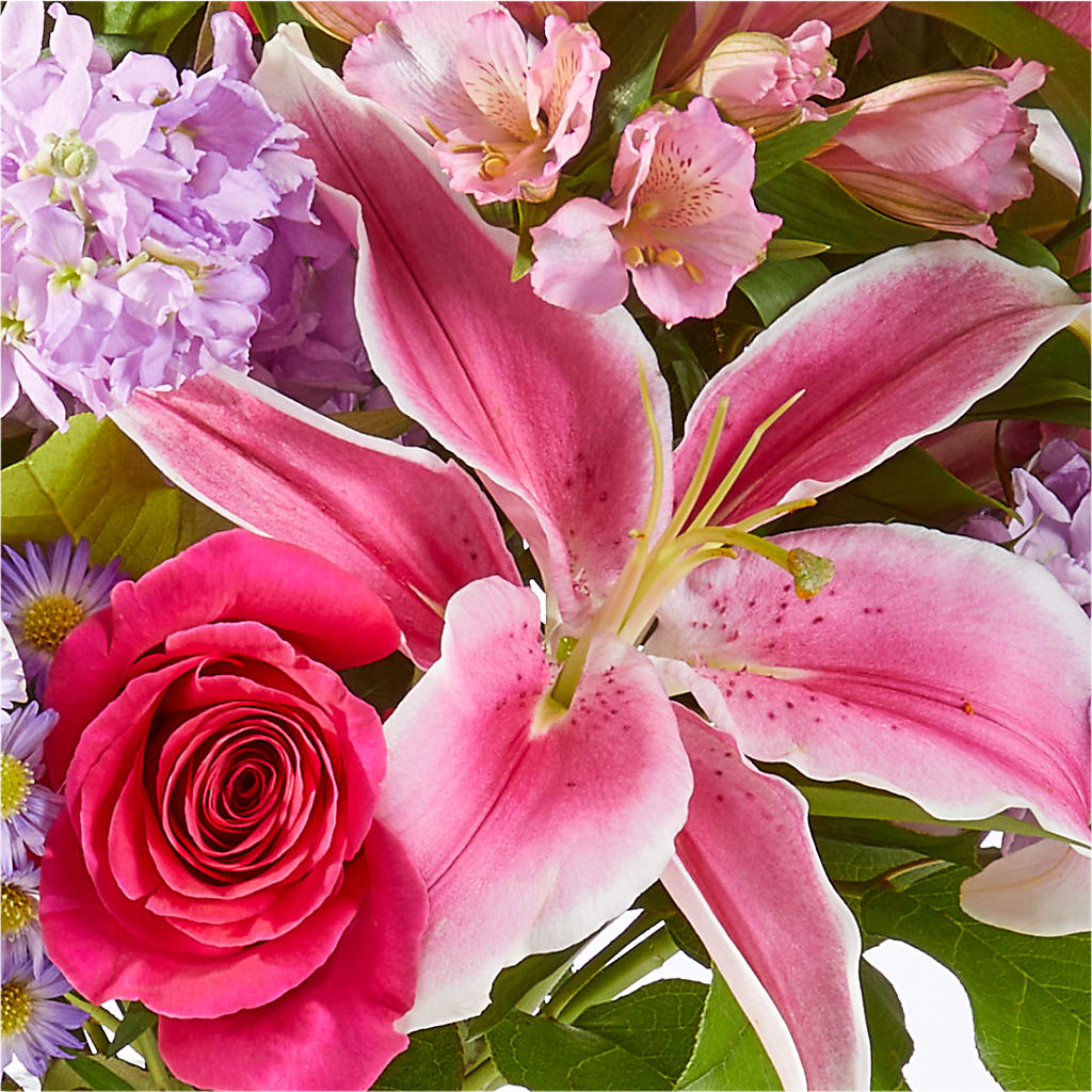 Written in the Stars Bouquet – D'FLOR FLOWERS AND GIFTS SHOP INC, San Juan PR