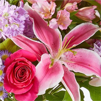 Written in the Stars Bouquet – D'FLOR FLOWERS AND GIFTS SHOP INC, San Juan PR