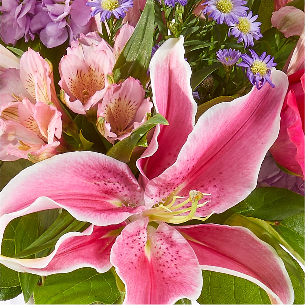 Written in the Stars Bouquet – D'FLOR FLOWERS AND GIFTS SHOP INC, San Juan PR