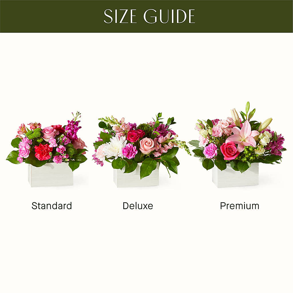 Sweetberry Box – A Florist Original – D'FLOR FLOWERS AND GIFTS SHOP INC, San Juan PR
