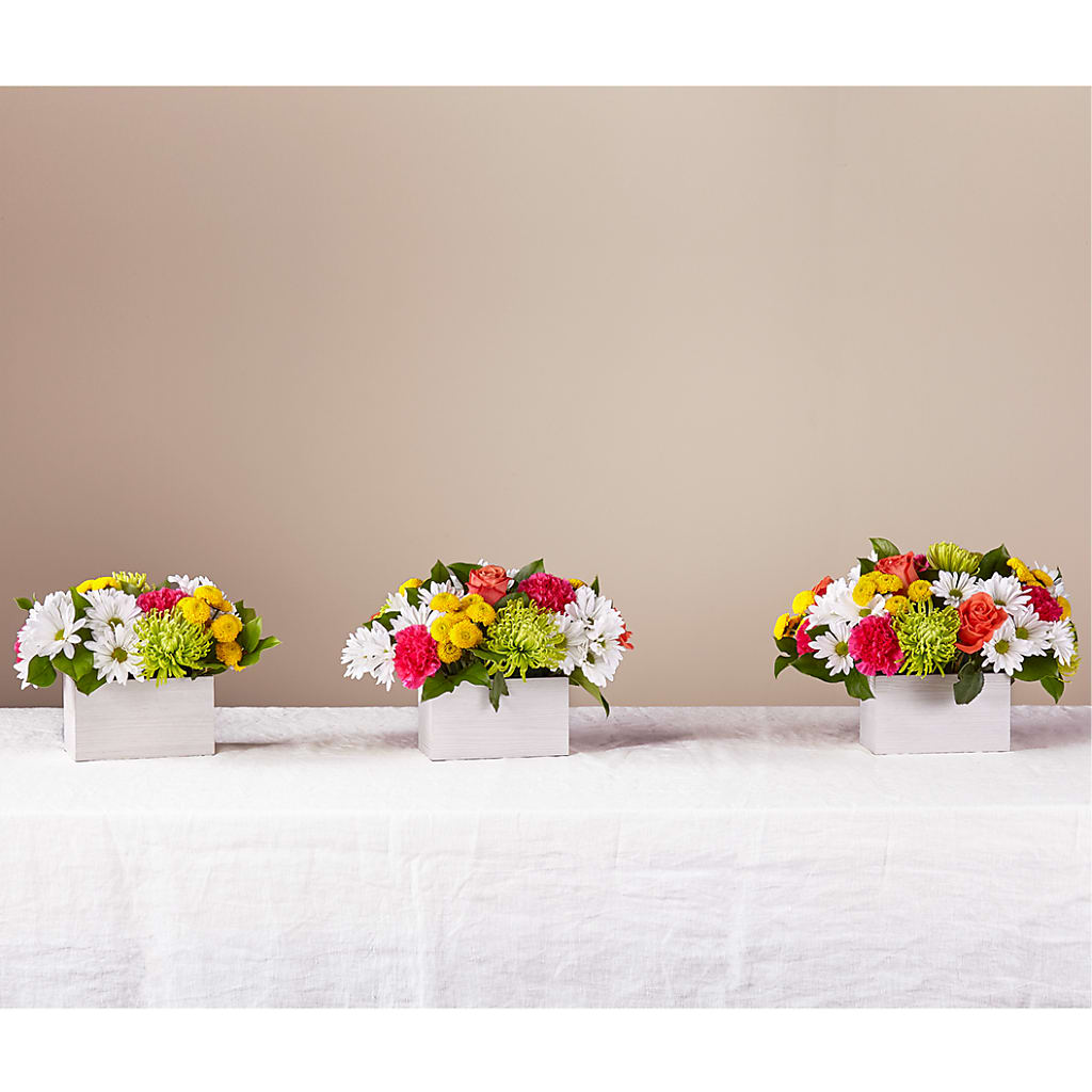Sorbet Bouquet – D'FLOR FLOWERS AND GIFTS SHOP INC, San Juan PR