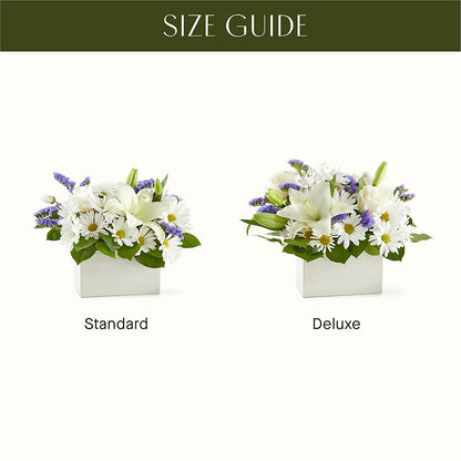 Beyond Blue Box Bouquet – D'FLOR FLOWERS AND GIFTS SHOP INC, San Juan PR