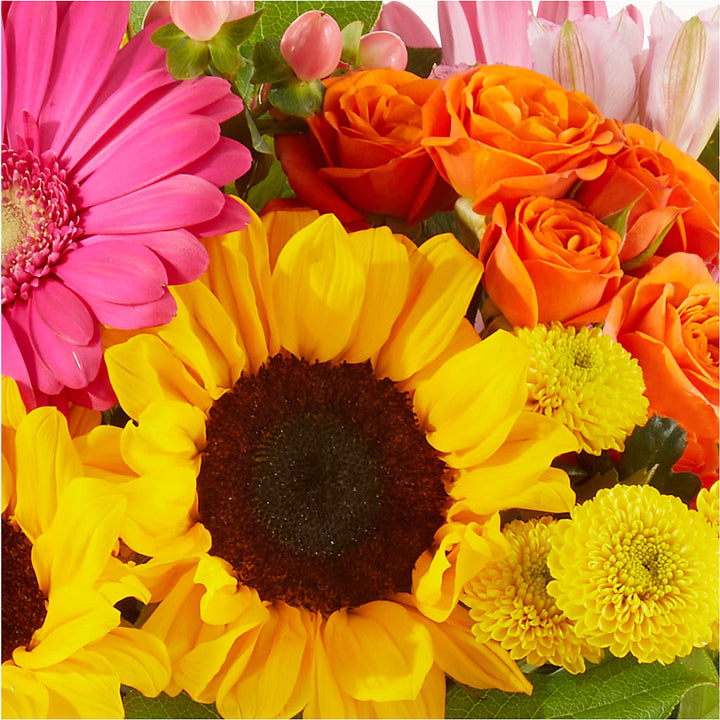 Target Flor's San Juan Florist with Same-Day Delivery | D'flor Flowers Boutique–D ...