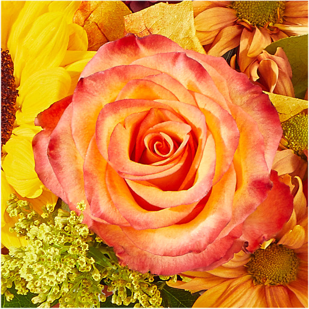 The Outdoors Bouquet – D'FLOR FLOWERS AND GIFTS SHOP INC, San Juan PR