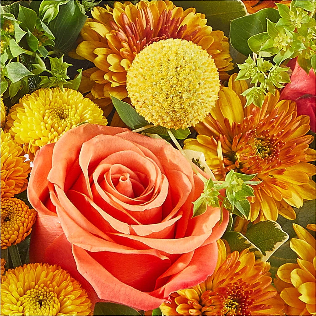 Gourdgeous Pumpkin – D'FLOR FLOWERS AND GIFTS SHOP INC, San Juan PR