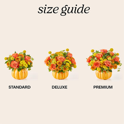 Gourdgeous Pumpkin – D'FLOR FLOWERS AND GIFTS SHOP INC, San Juan PR