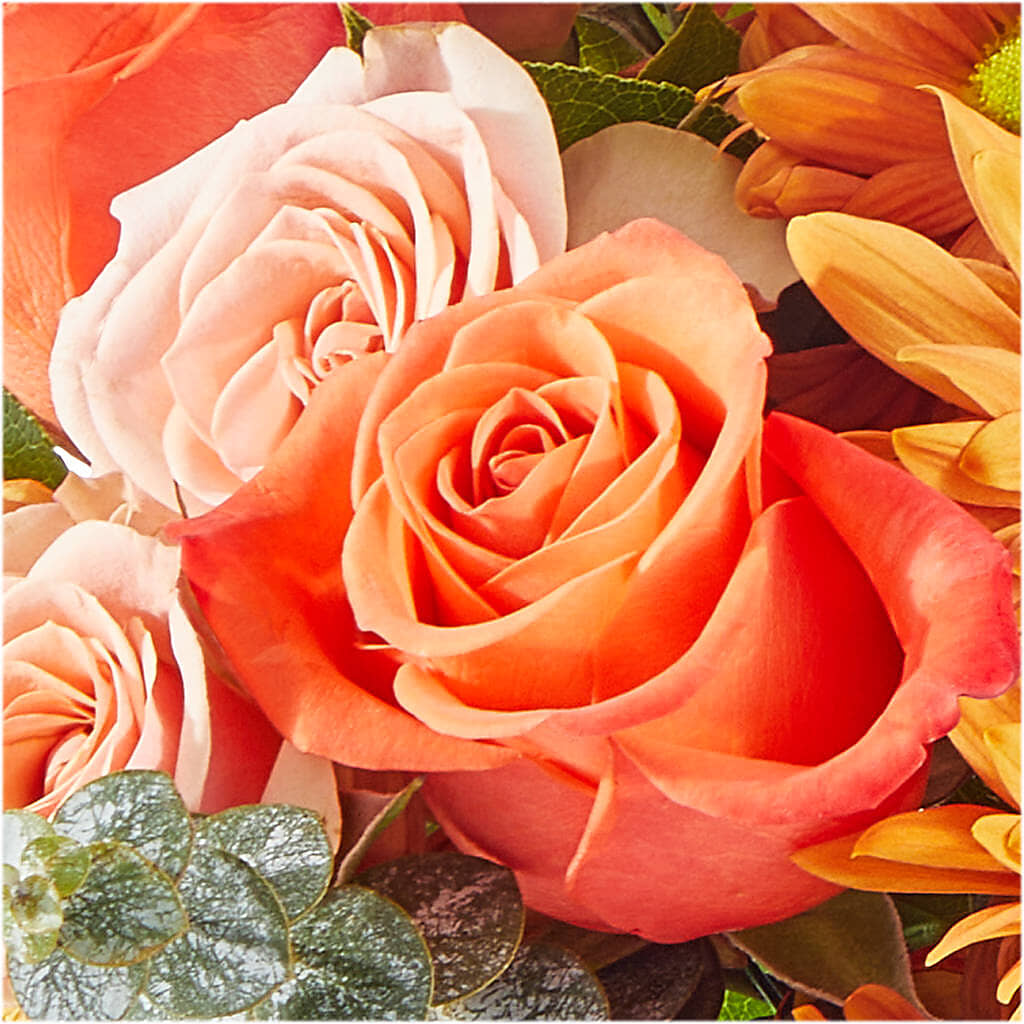 Scenic Route Bouquet – D'FLOR FLOWERS AND GIFTS SHOP INC, San Juan PR