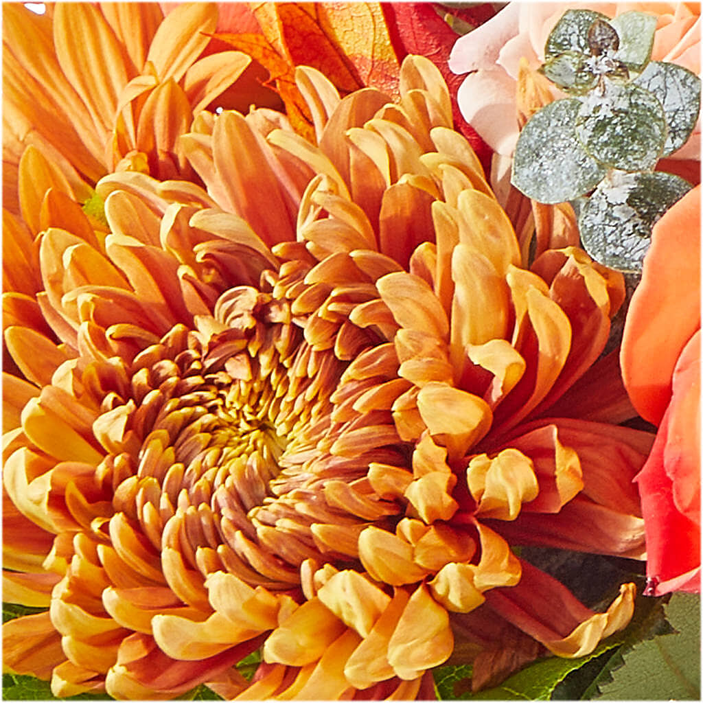 Scenic Route Bouquet – D'FLOR FLOWERS AND GIFTS SHOP INC, San Juan PR