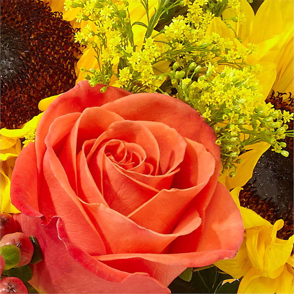 Pick of the Patch Pumpkin Bouquet – D'FLOR FLOWERS AND GIFTS SHOP INC, San Juan PR