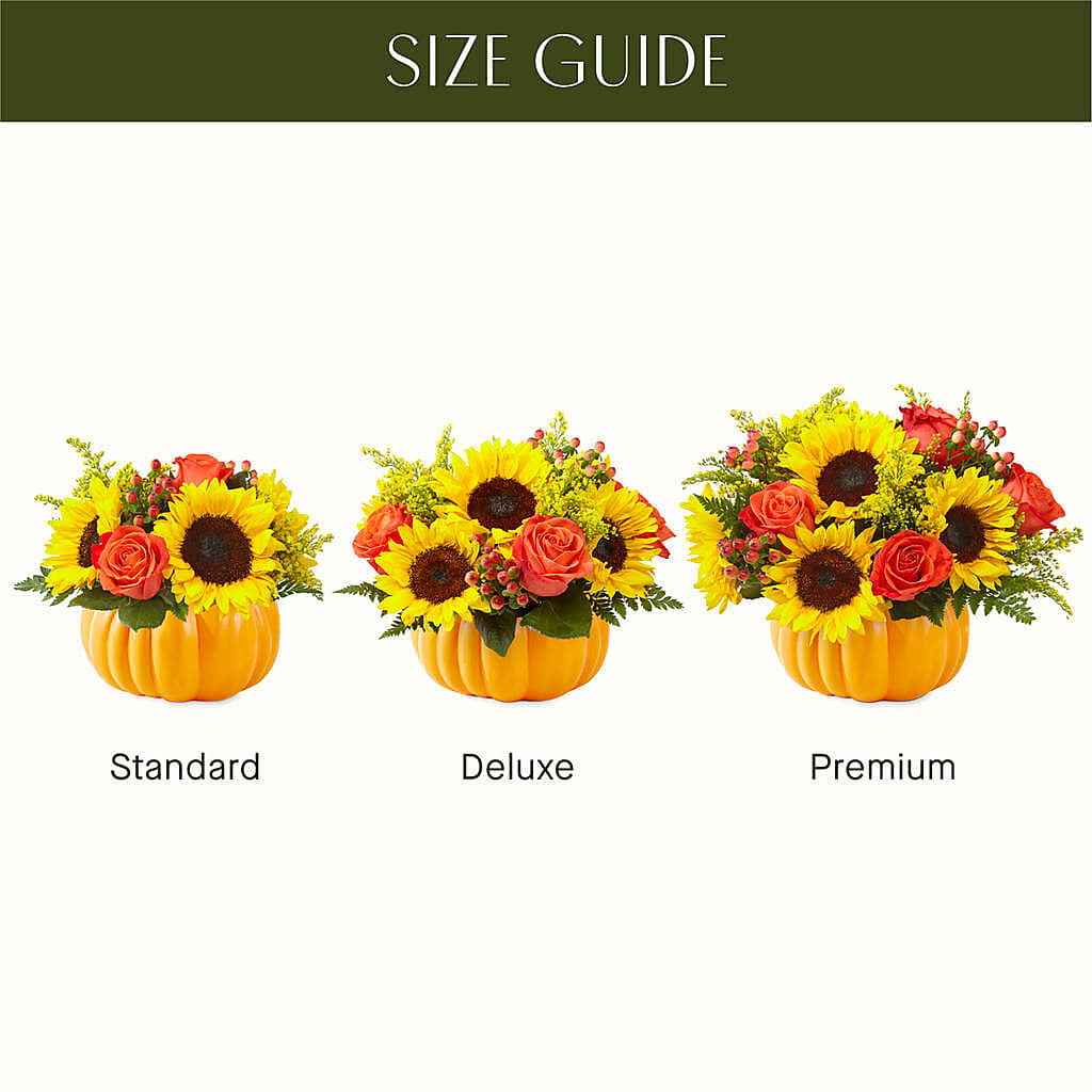 Pick of the Patch Pumpkin Bouquet – D'FLOR FLOWERS AND GIFTS SHOP INC, San Juan PR