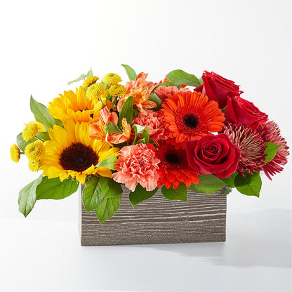 Autumn Orchard Bouquet – D'FLOR FLOWERS BOUTIQUE, San Juan PR