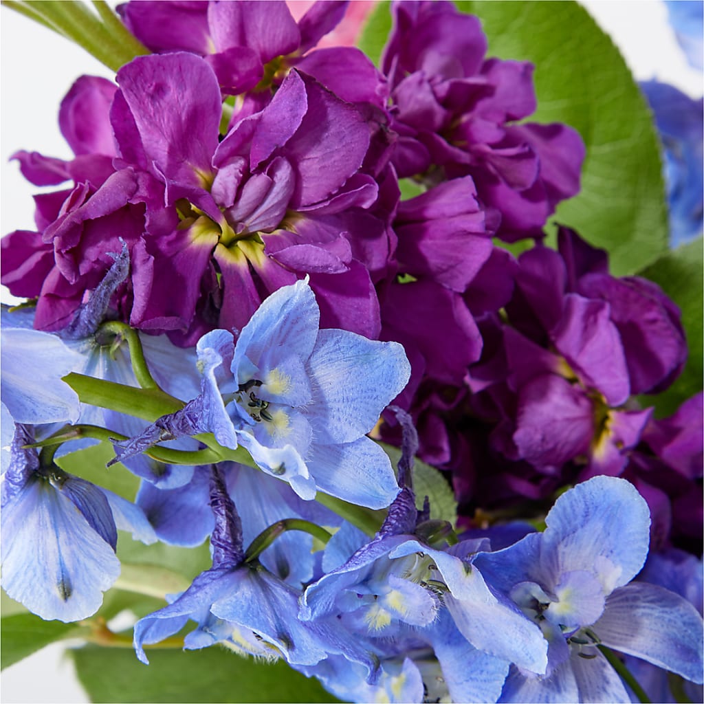 Twilight Glow Bouquet – D'FLOR FLOWERS AND GIFTS SHOP INC, San Juan PR