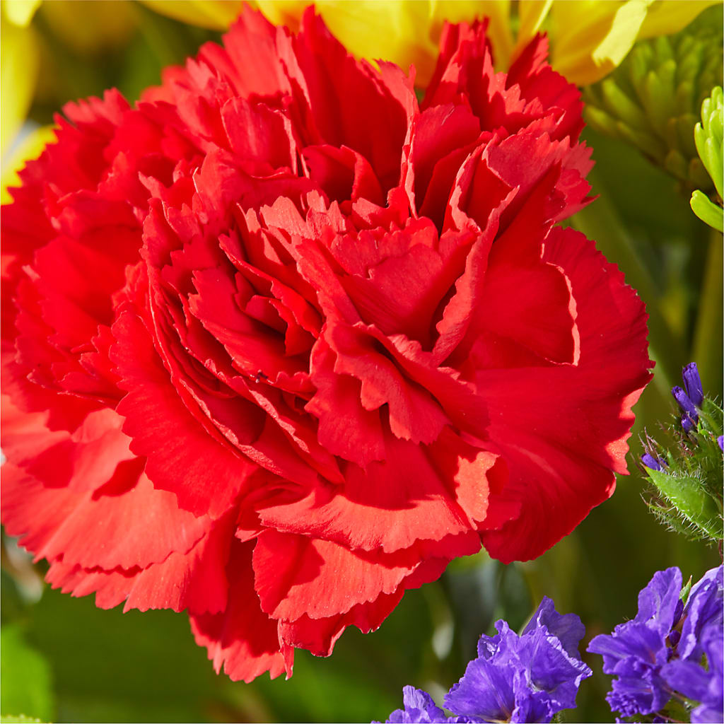 Brighter Days Bouquet – D'FLOR FLOWERS AND GIFTS SHOP INC, San Juan PR