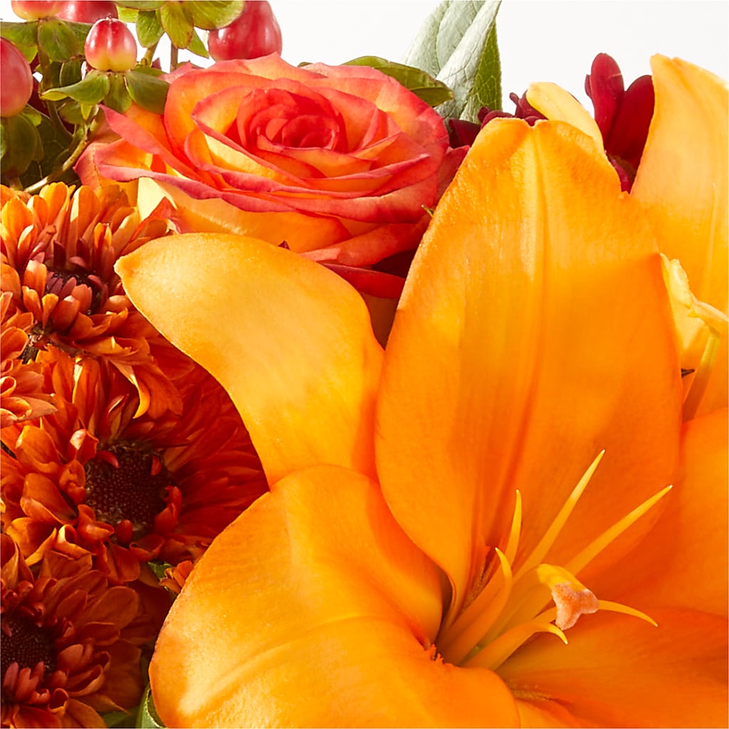 Backyard Bonfire Bouquet – D'FLOR FLOWERS AND GIFTS SHOP INC, San Juan PR