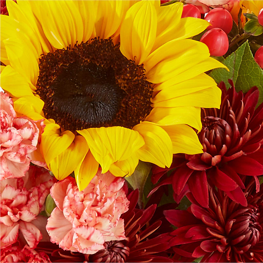 Fresh Cider Bouquet – D'FLOR FLOWERS AND GIFTS SHOP INC, San Juan PR