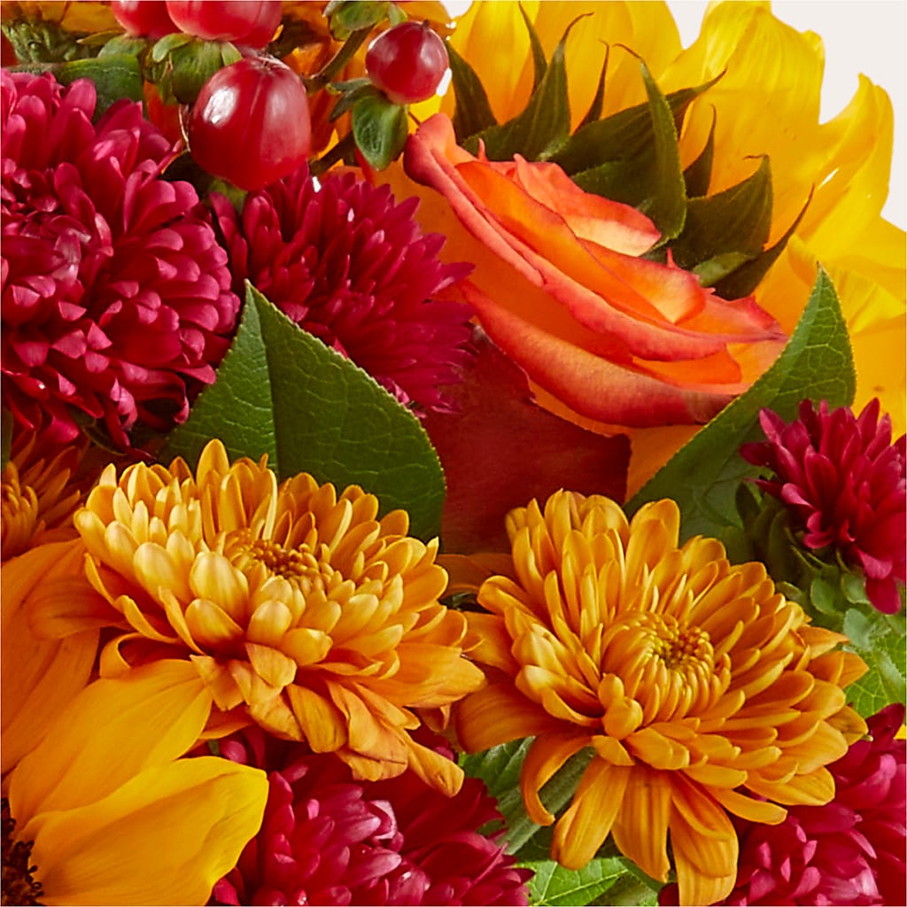 Sweater Season - A Florist Original – D'FLOR FLOWERS BOUTIQUE, San Juan PR