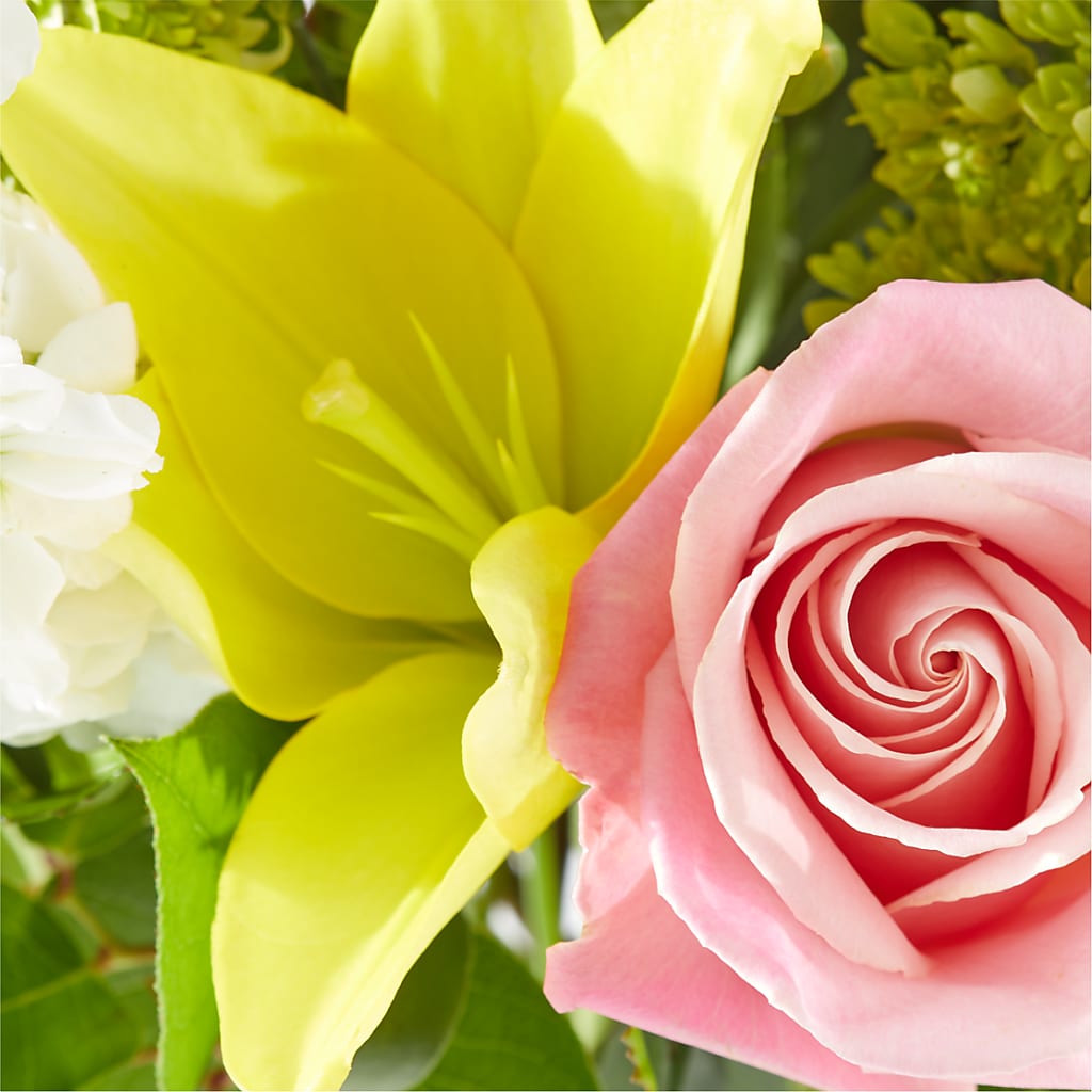 Garden Delight Bouquet – D'FLOR FLOWERS AND GIFTS SHOP INC, San Juan PR