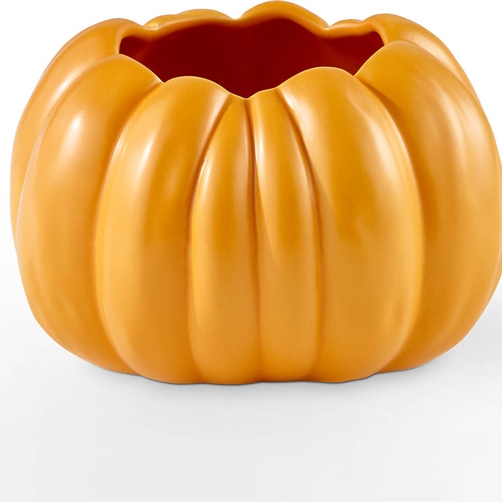 Pick of the Patch Pumpkin Bouquet – D'FLOR FLOWERS AND GIFTS SHOP INC, San Juan PR