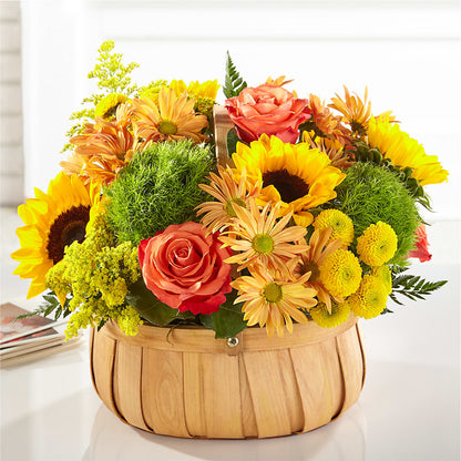 Harvest Sunflower Basket – D'FLOR FLOWERS AND GIFTS SHOP INC, San Juan PR