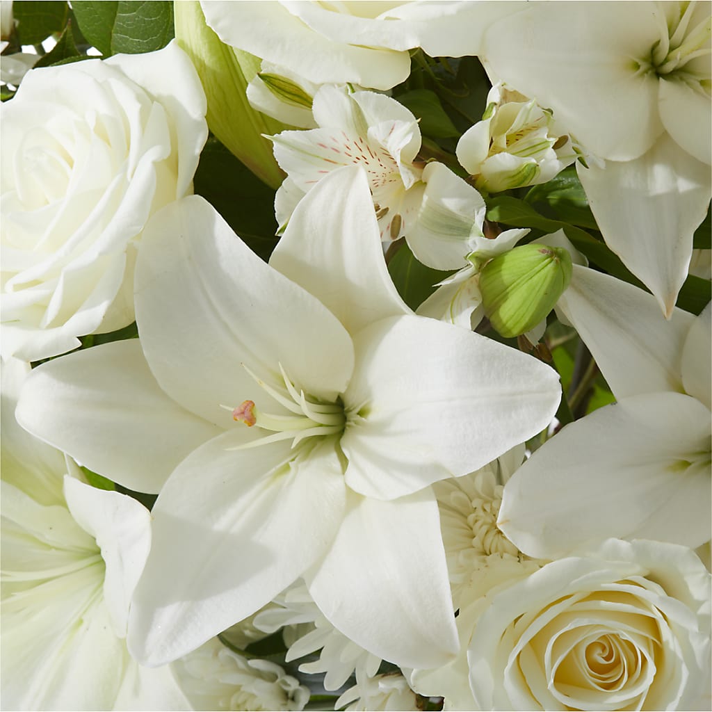 Peaceful Reflections Arrangement – D'FLOR FLOWERS AND GIFTS SHOP INC, San Juan PR