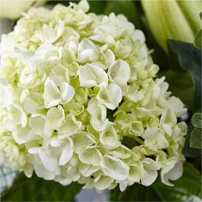 Classic Ivory – A Florist Original – D'FLOR FLOWERS AND GIFTS SHOP INC, San Juan PR