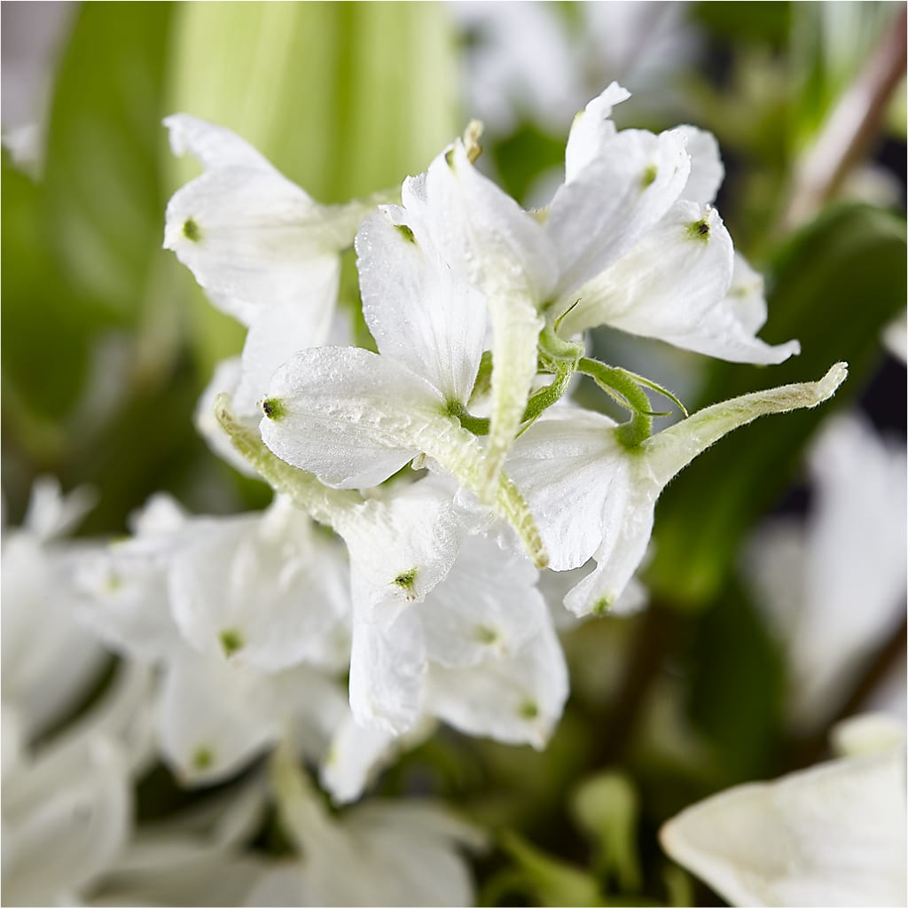 Classic Ivory – A Florist Original – D'FLOR FLOWERS AND GIFTS SHOP INC, San Juan PR