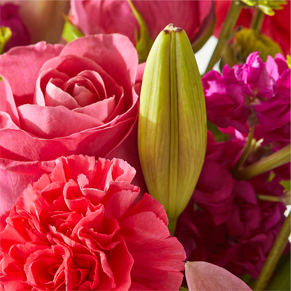 Watermelon Crush Bouquet – D'FLOR FLOWERS AND GIFTS SHOP INC, San Juan PR