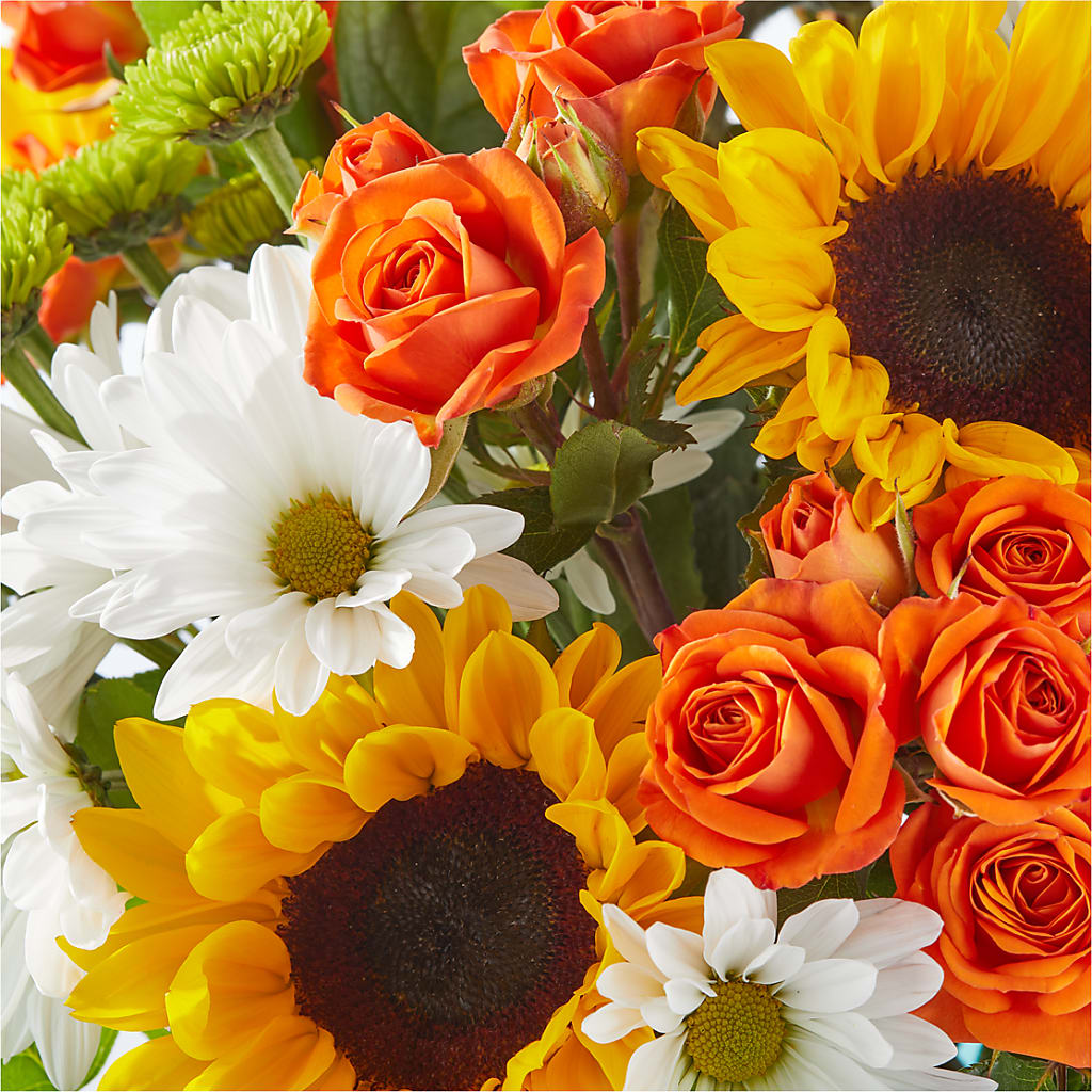Sun-drenched Blooms Bouquet – D'FLOR FLOWERS AND GIFTS SHOP INC, San Juan PR