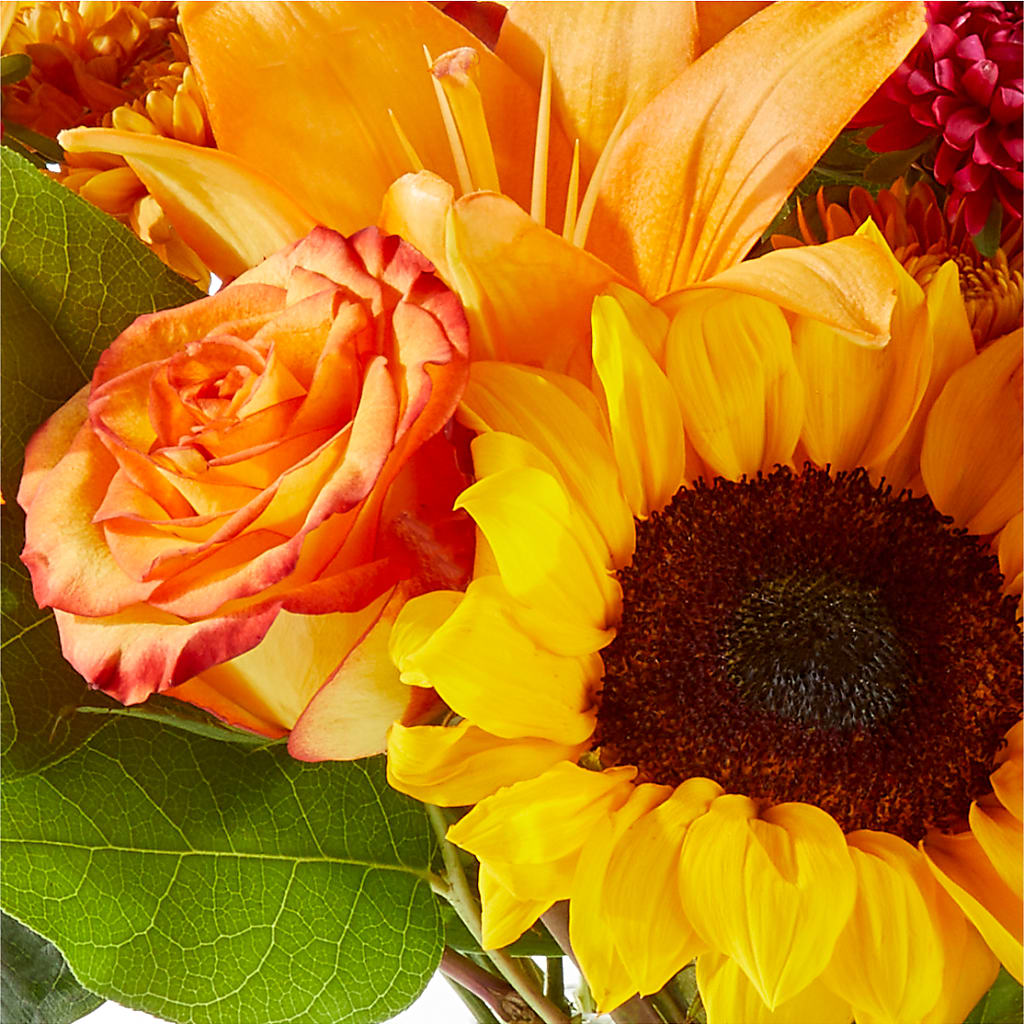 Fall Day Bouquet – D'FLOR FLOWERS AND GIFTS SHOP INC, San Juan PR
