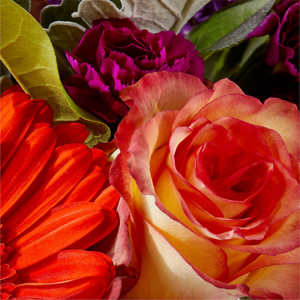 Sangria Bouquet – D'FLOR FLOWERS AND GIFTS SHOP INC, San Juan PR