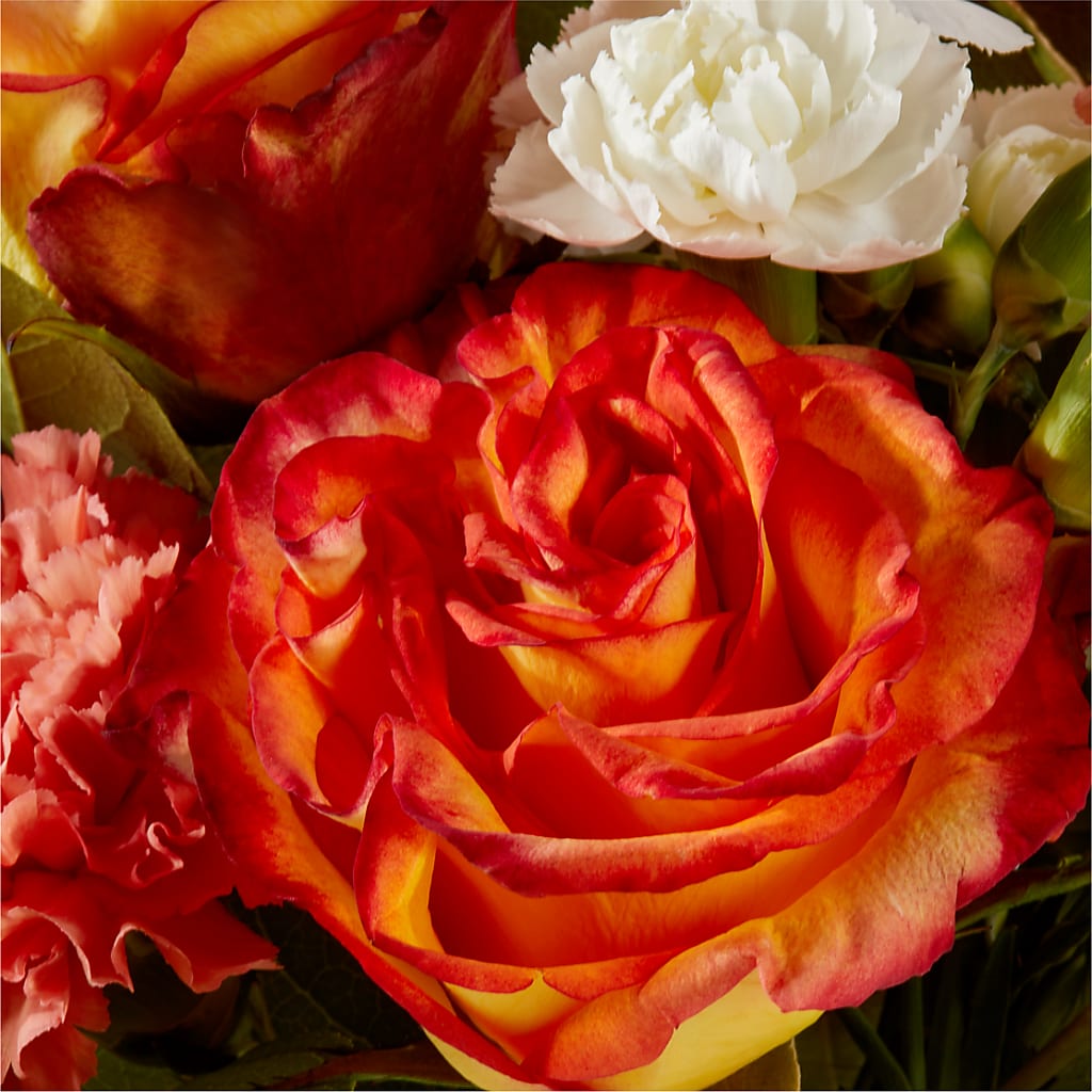 Apricot Glow Bouquet – D'FLOR FLOWERS AND GIFTS SHOP INC, San Juan PR