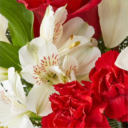 Holiday Season Bouquet – D'FLOR FLOWERS AND GIFTS SHOP INC, San Juan PR