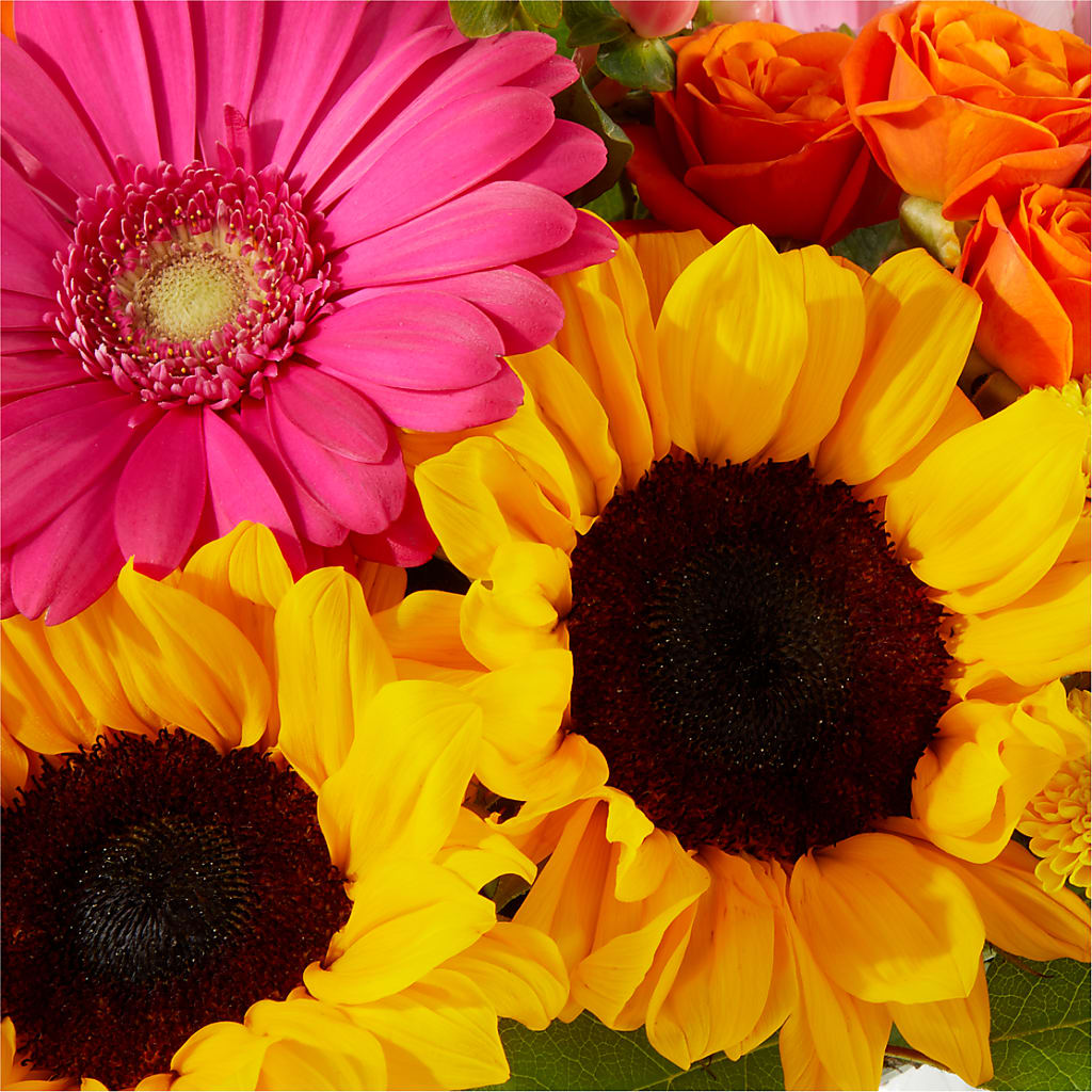 Beach Day Bouquet – D'FLOR FLOWERS AND GIFTS SHOP INC, San Juan PR