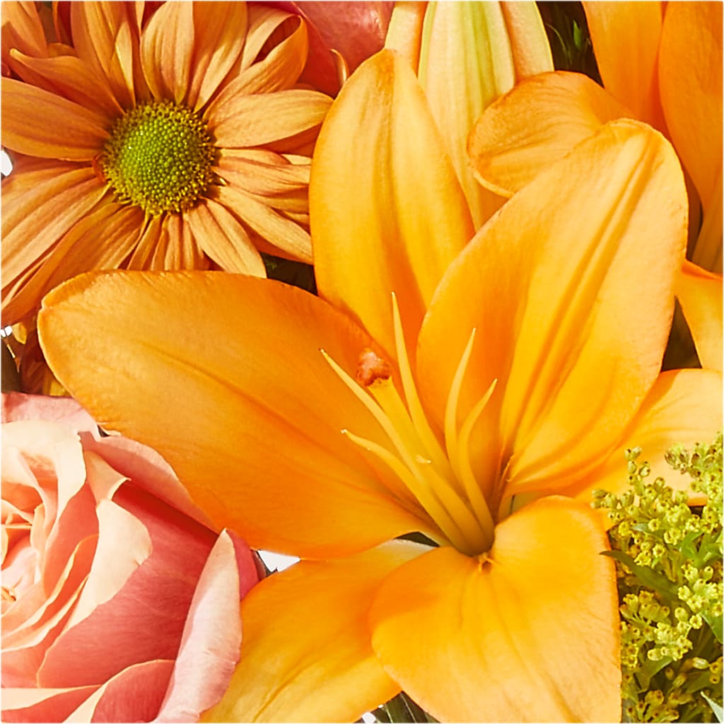 Harvest Hayride Bouquet – D'FLOR FLOWERS AND GIFTS SHOP INC, San Juan PR