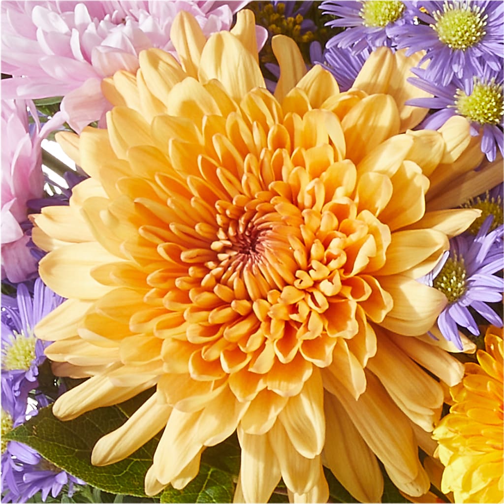 Countryside Bouquet – D'FLOR FLOWERS AND GIFTS SHOP INC, San Juan PR