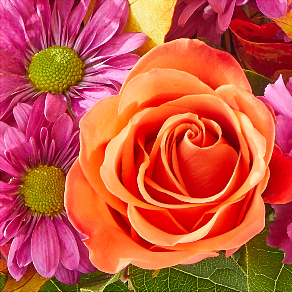 Mum's the Word Bouquet – D'FLOR FLOWERS AND GIFTS SHOP INC, San Juan PR