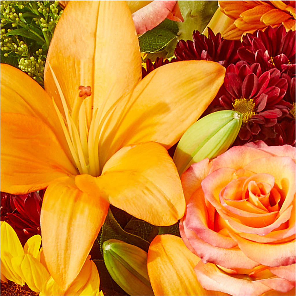 Seasons Change Bouquet – D'FLOR FLOWERS AND GIFTS SHOP INC, San Juan PR